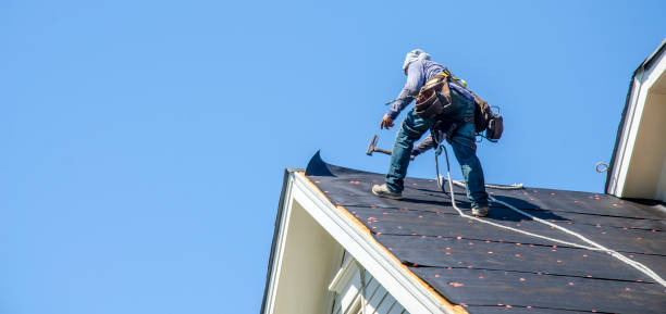 Professional Roofing Contractor in Jacksonville, AL